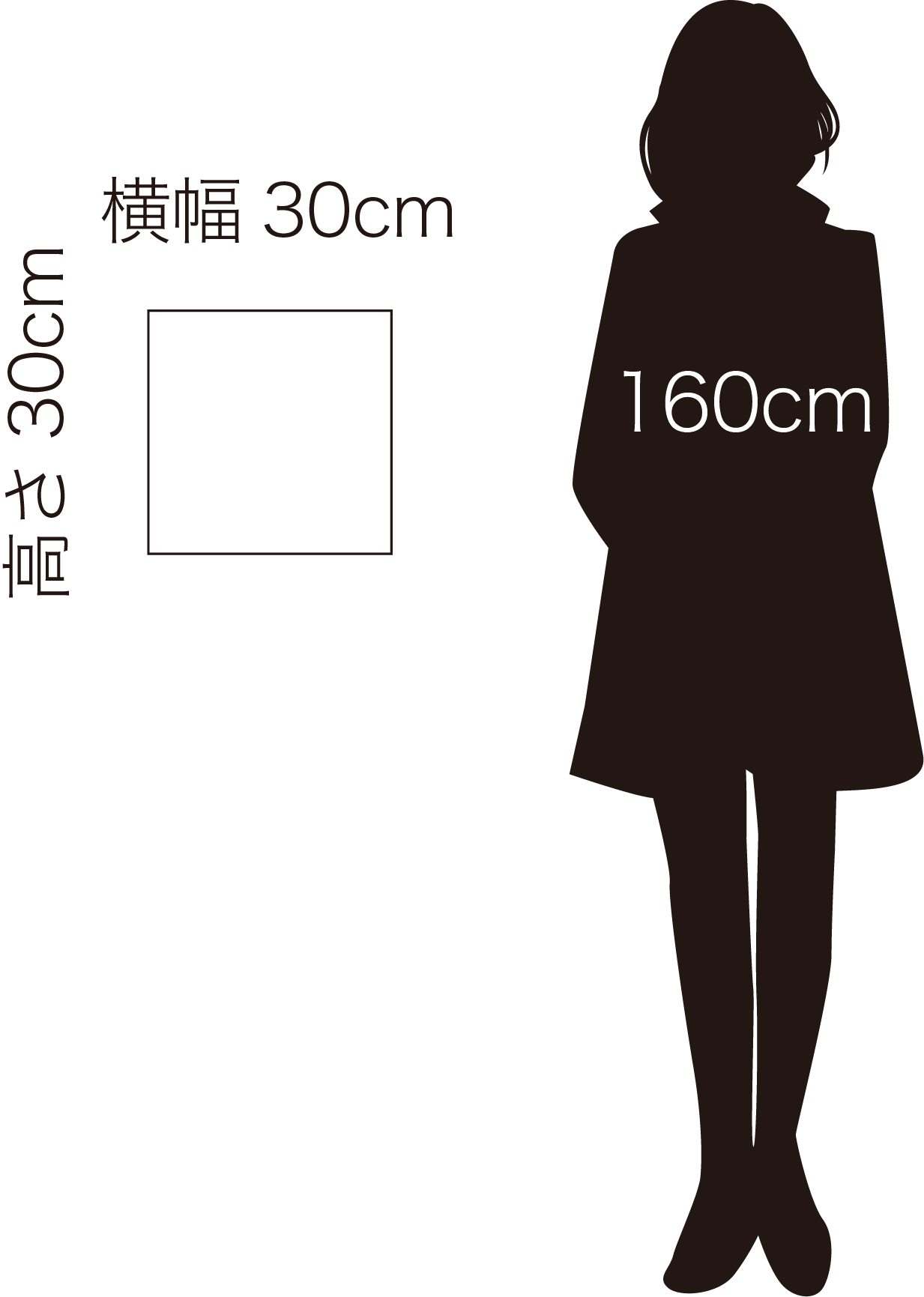 横30cm×高さ30cm