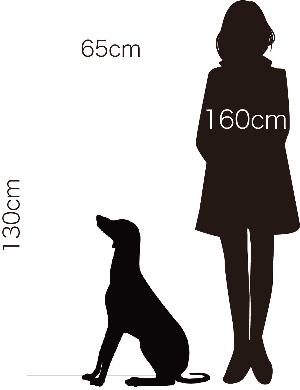 65cm×130cm